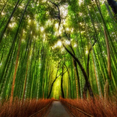 1920 x 1080 HD Wallpapers 138